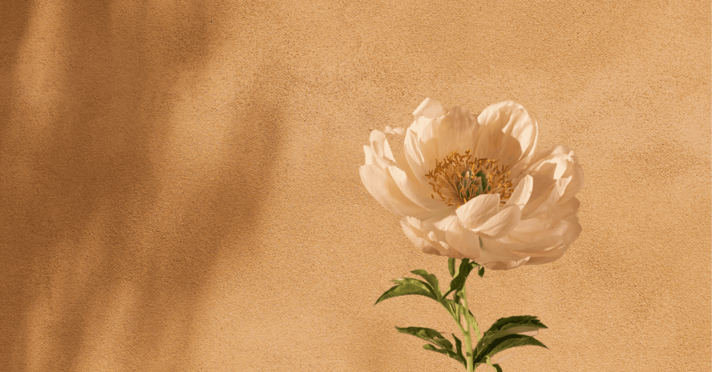 Intentional Vs Mindful Vs Conscious Living: What’s The Best Way Of Living?