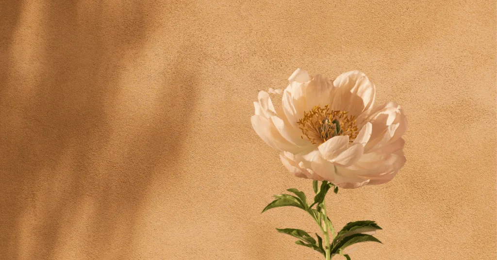 Intentional Vs Mindful Vs Conscious Living: What’s The Best Way Of Living?